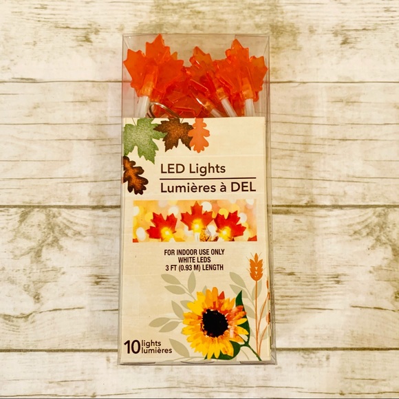 COPY - ✨4/$25✨ LED String Lights - Fall Leaves - 10 Lights - Picture 1 of 6